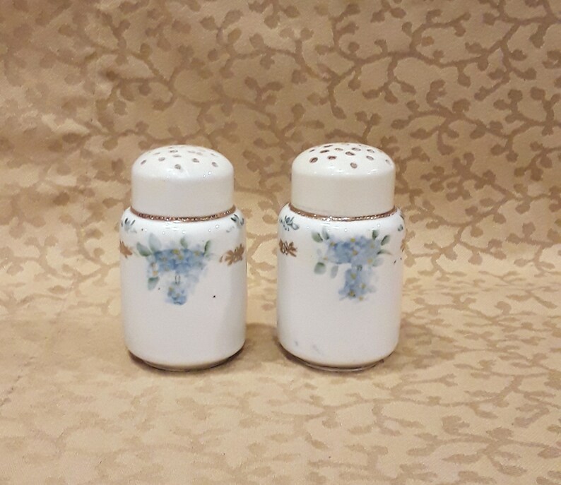 Antique Nippon Salt Pepper Shaker Set Hand Painted Blue Etsy