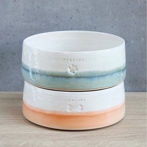 Personalised pet bowl | Two tone | handmade bowl cats dogs kittens & puppies | Ceramic food/water | unique pet | name | bespoke spaniel