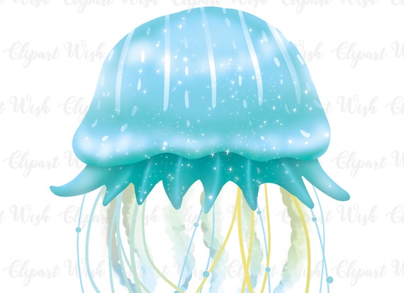 Teal Blue Jellyfish Png Ocean Creatures Clipart Instant Etsy
