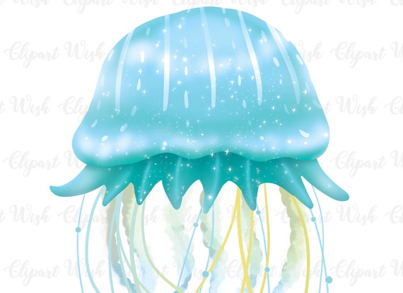 Teal Blue Jellyfish Png Ocean Creatures Clipart Instant Etsy Teal Blue Jellyfish Png Ocean Creatures Clipart Instant Etsy