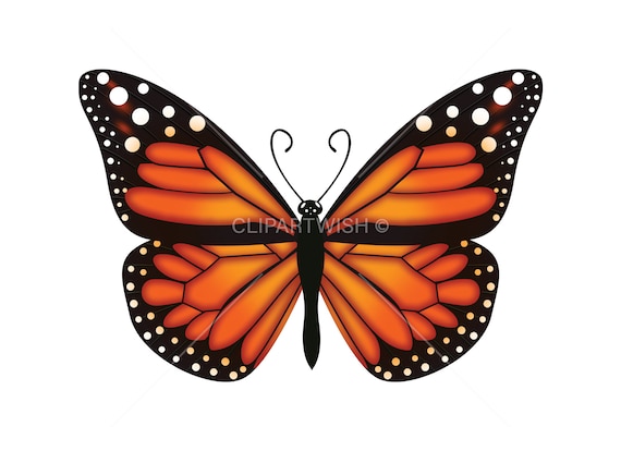 Butterfly Png Monarch Butterfly Clipart Transparent Etsy