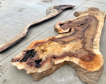 Live edge/raw wood/wooden hackberry tree slab/slice/round reclaimed/unique wood blank/plank/burl/ornament solid wood burning/fractal