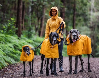 The PADDINGTON designer raincoat for Great Danes & Large/Giant breed dogs