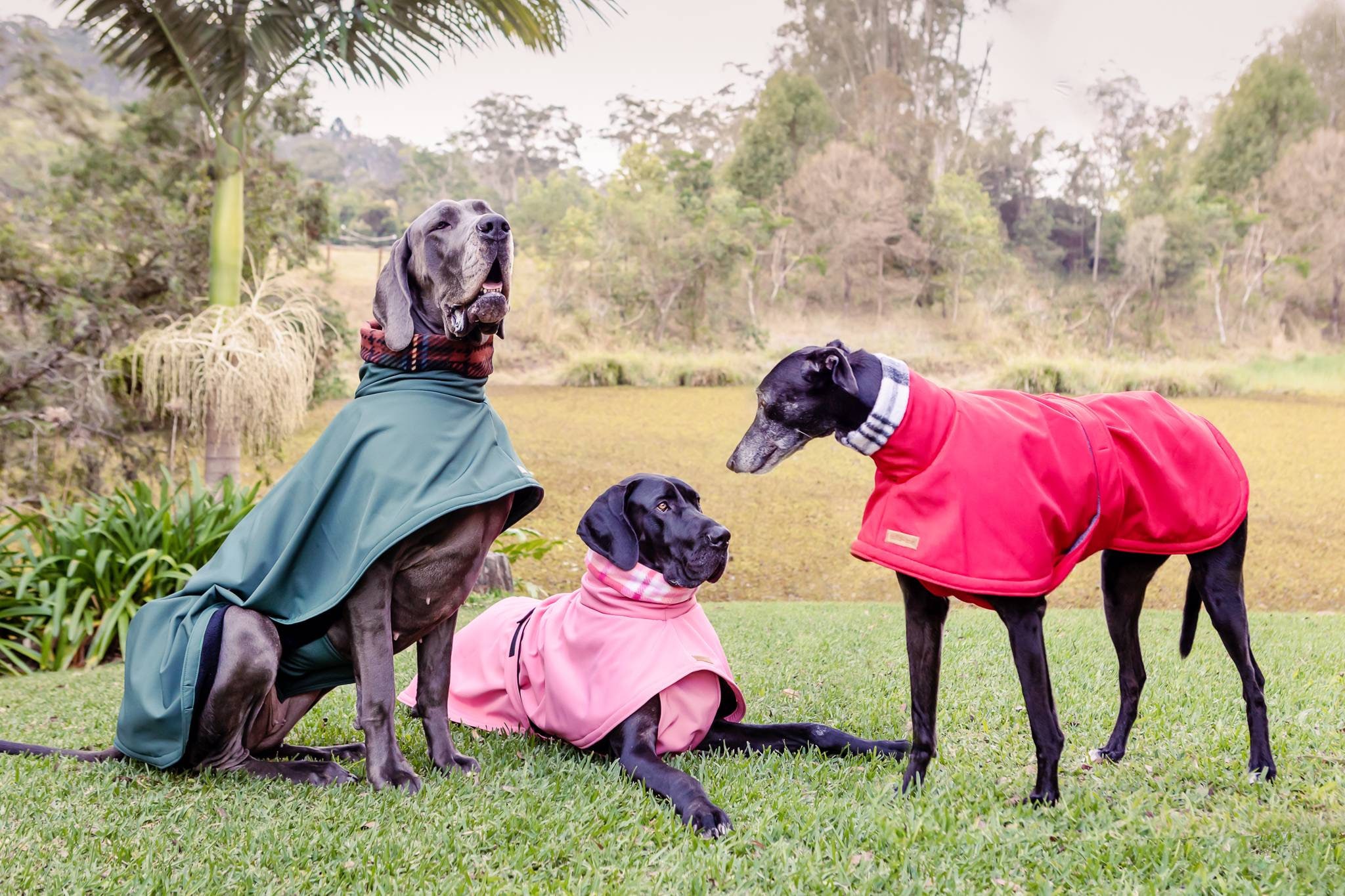 Waterproof Dog Coat - Etsy Australia