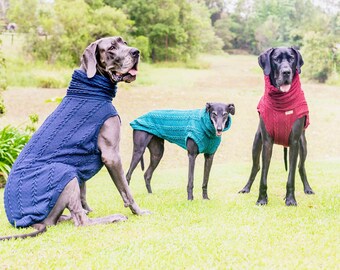 great dane jumper