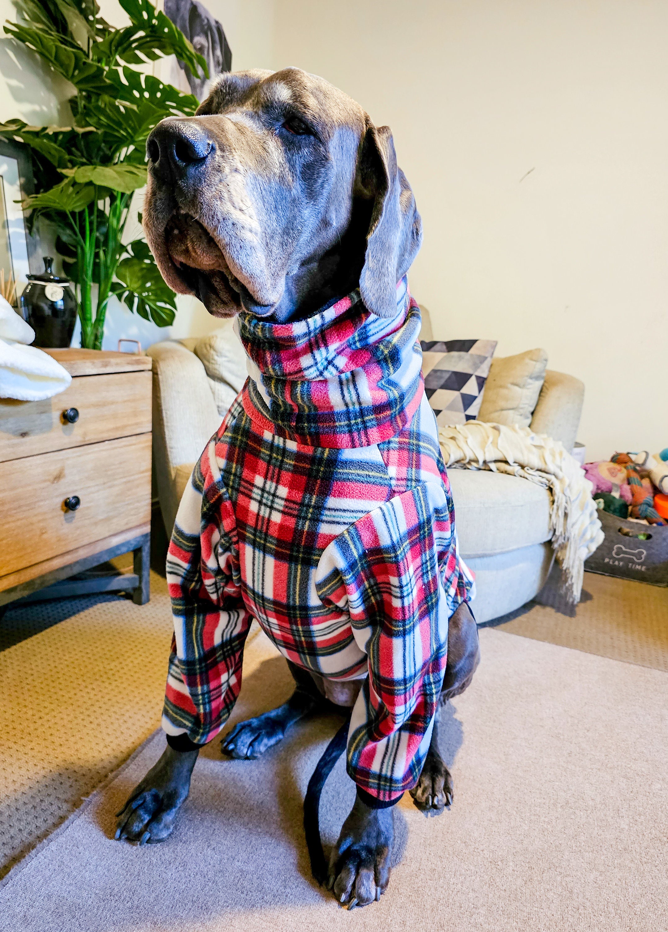 Great dane bandana hotsell