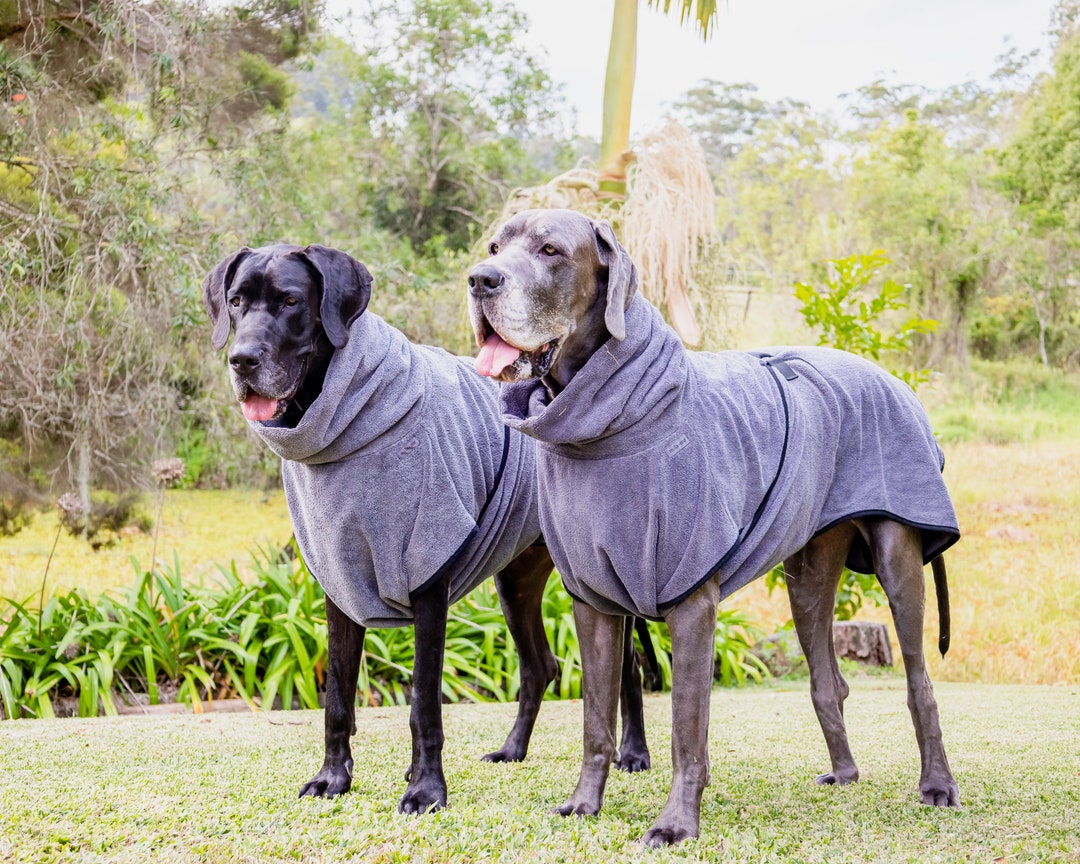 Designer Dog DRYING COAT for Great Danes & Large/giant Breed Dogs