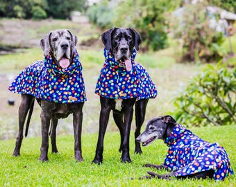 Designer Dog Raincoat for Danes & Greyhounds – Lightweight Weather Protection