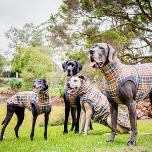 Designer dog jumper (the STANTHORPE) limited edition for Great Danes & Greyhounds