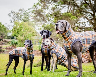 Jersey de diseño para perros (STANTHORPE), edición limitada para grandes daneses y galgos