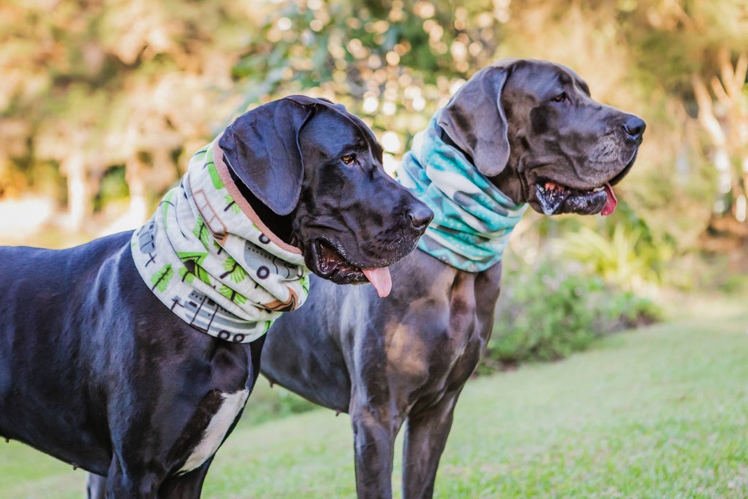 Milame Designer Fleece Dog Snood for Great Danes, Greyhounds variety of Colours Available Etsy