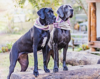 Mila+me 'ETERNITY DOG SCARF' For Large & Giant breeds