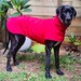 Mila+me weatherproof dog coat for Great danes