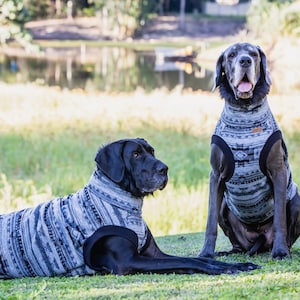 Designer dog jumper (the DENALI) for Great Danes & Greyhounds