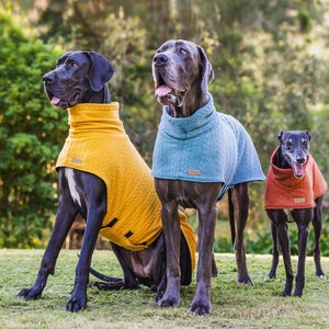 Designer dog Sweater (the MARCOOLA) For Great Danes & Greyhounds
