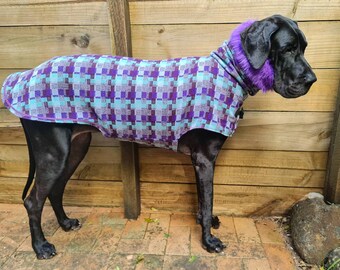 mastiff dog coats
