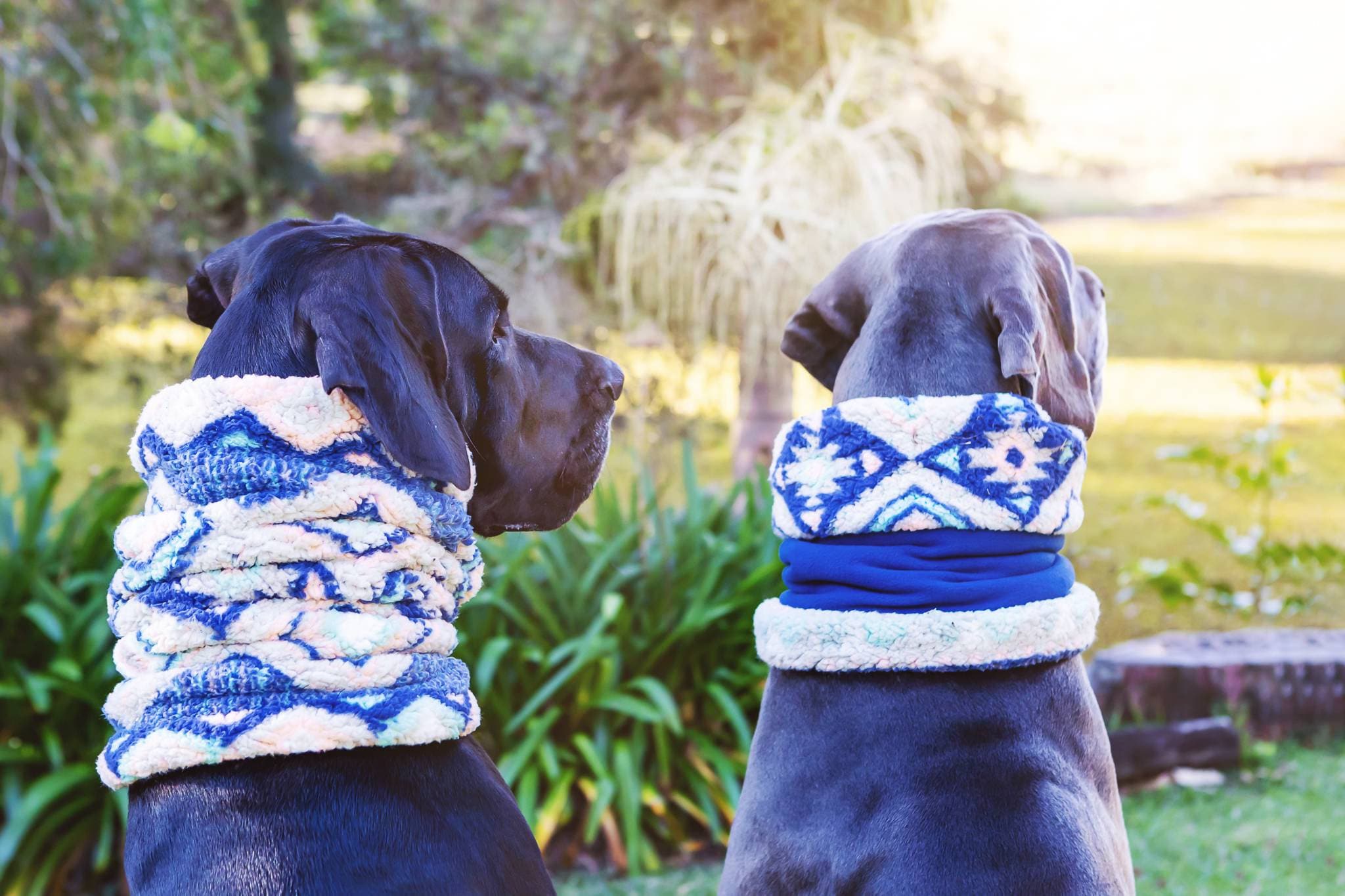 Boots for Great Danes Etsy