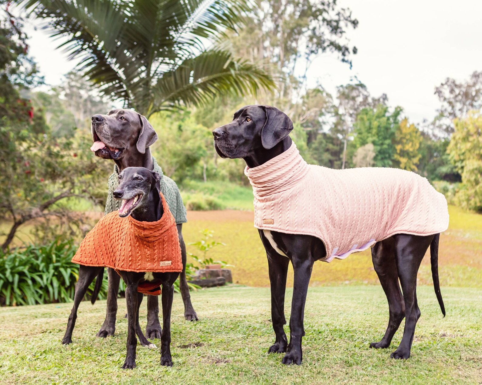 Designer Dog Sweater the MALENY for Great Danes & Greyhounds Etsy