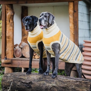 The OSLO - Designer knitted dog sweater for Great Danes & Large/Giant breed dogs