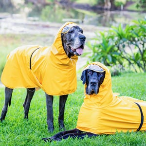 The PADDINGTON designer raincoat for Great Danes & Large/Giant breed dogs