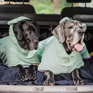 Designer TEDDY ROBE (Drying Coat) For Great Danes & Large/Giant breed dogs