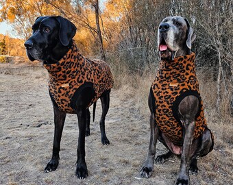 Designer dog jumper (the TEDDY PULLOVER) limited edition for Great Danes