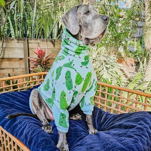 Designer dog Coat or Jumper ('Kind of a Big Dill') For Great Danes