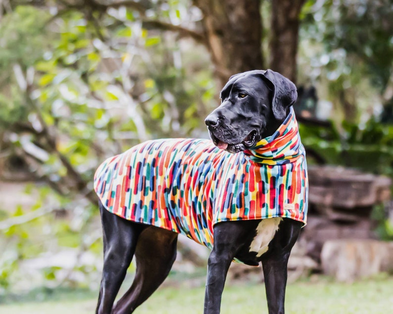 Designer dog Sweater the GIBSON For Great Danes & Greyhounds Etsy