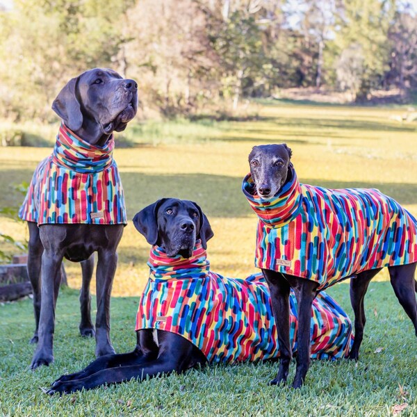 Designer dog Sweater (the GIBSON) For Great Danes & Greyhounds