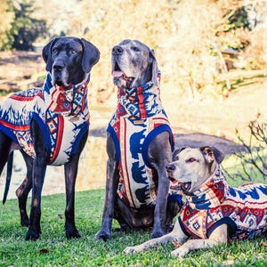WANDERLUST Designer Dog jumper For Great Danes
