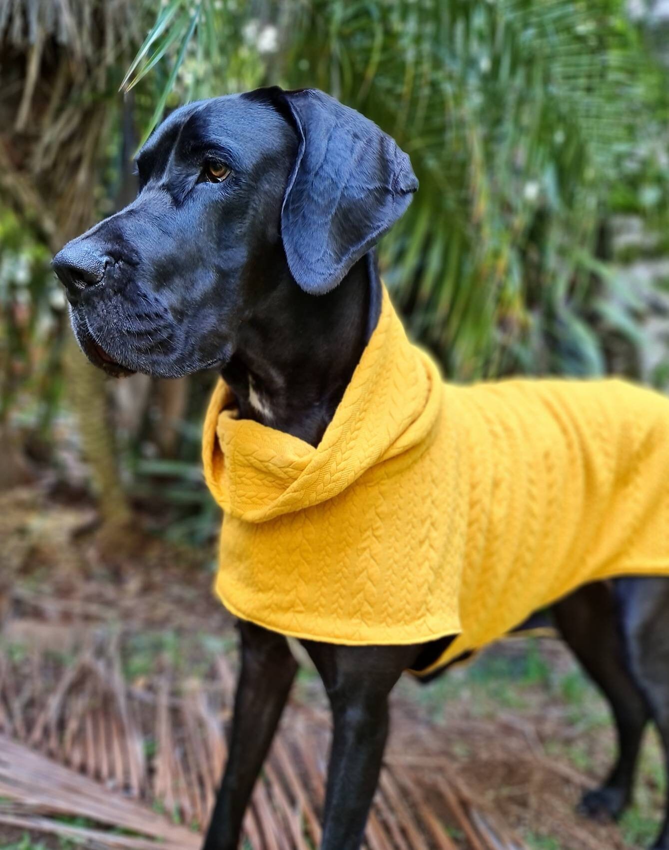 Designer dog Sweater the MARCOOLA For Great Danes & Etsy