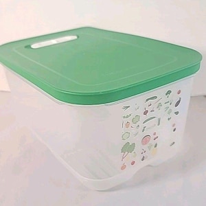 Könnte beinhalten: Ein durchsichtiger Kunststoff-Lebensmittelbehälter mit grünem Deckel. Der Deckel hat einen weißen Griff. Die Seite des Behälters hat eine farbenfrohe Illustration verschiedener Gemüse und Früchte.