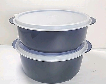 状態良好 ヴィンテージ タッパーウェア ボウル2個セット（蓋付き）ブルー 2.5カップ、3.5カップ