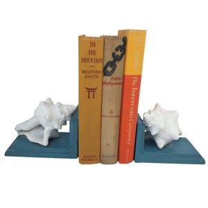 May include: A set of blue bookends with white seashell accents. The bookends hold three vintage books with titles including "To The Mountain" and "The Intercom Conspiracy". The bookends are a decorative item for a bookshelf.