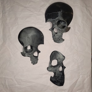3d Printed Skull Model Wall Art