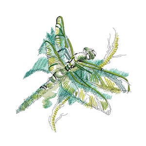 Dragonfly Embroidery design