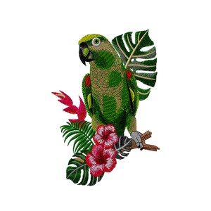 Turquoise- fronted Embroidery Designs Turquoise- fronted Machine Embroidery Designs Trendy Bird instant download