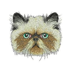 Abyssinian Cat Embroidery Designs Abyssinian Cat , Machine Embroidery Digital Designs Instant Download
