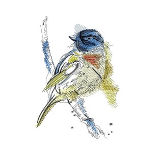May include: A hand-drawn illustration of a blue, yellow, and red bird perched on a branch. The bird is drawn in a sketchy style with lines and hatching.
