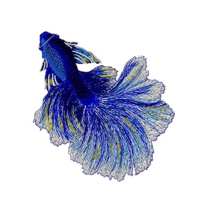 Puede incluir: Un pez betta azul y plateado con aletas largas y fluidas. El pez nada con la cola extendida.