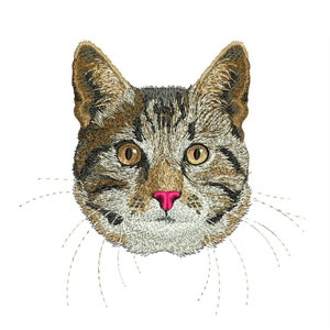 American Shorthair Cat Face Embroidery Design (Digital Download)