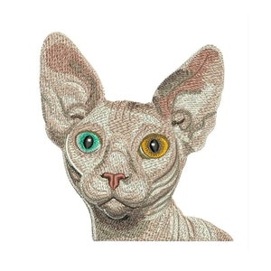 May include: A close-up of a hairless cat with one blue eye and one yellow eye. The cat has a light brown and white coat and is looking directly at the camera.
