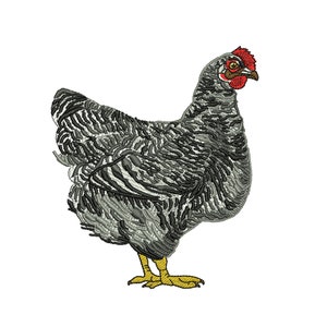 Può includere: Disegno ricamato di una gallina grigia e nera con cresta rossa e zampe gialle.