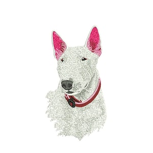 Puede incluir: Bull terrier blanco con orejas rosas que lleva un collar rojo. El perro está mirando hacia un lado.