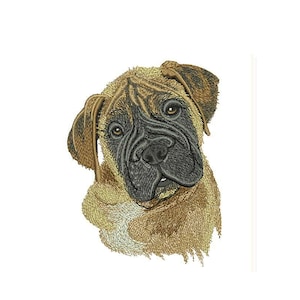 May include: A close-up of a brown and black dog's face. The dog has a short, brown coat and a black nose. The dog's eyes are brown and the dog is looking directly at the camera.