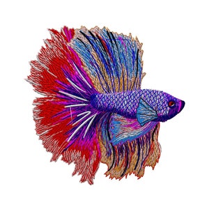 Colorful Beta Fish Embroidery Design (Digital Download)