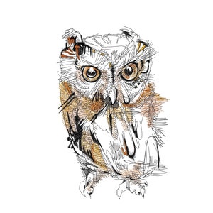 Owl Art Embroidery Designs, Machine embroidery designs, Artistic Embroidery designs Digitized Files