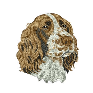 Springer Spaniel Dog  Embroidery Designs Springer Spaniel Dog Machine Embroidery  Designs Digital file Instant Download