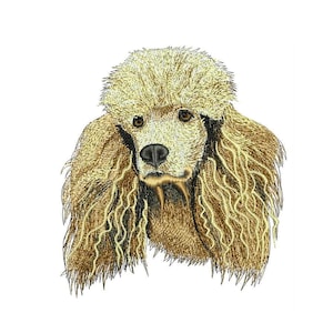 Poodle Dog Embroidery Designs Poodle Dog Machine Embroidery  Designs Digital File Instant Download