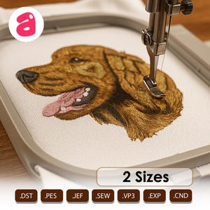 Desenho de bordado à máquina para cães Setter Irlandeses